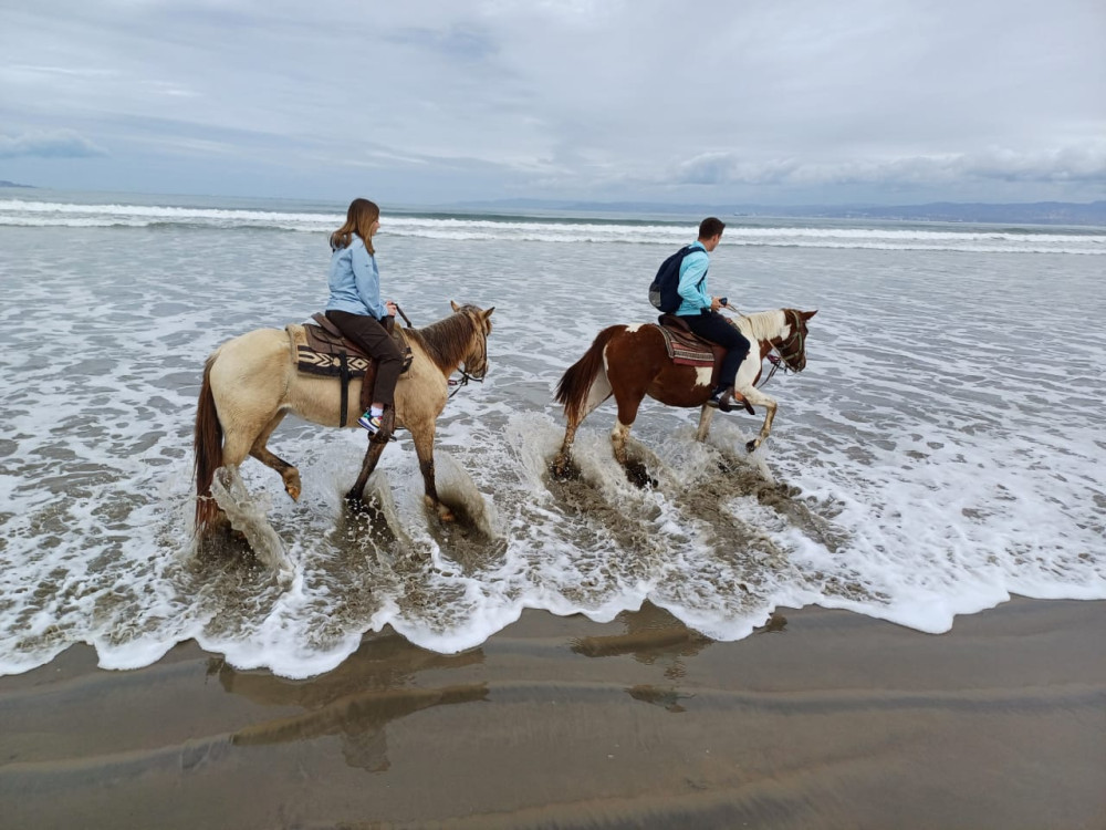 Beautiful Beach Horseback Ride