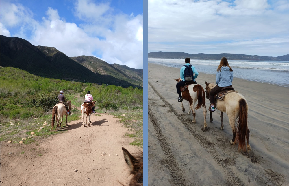 Mountain Trail & Beach Combo Horseback Ride