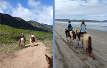 Desert Trails Ensenada7