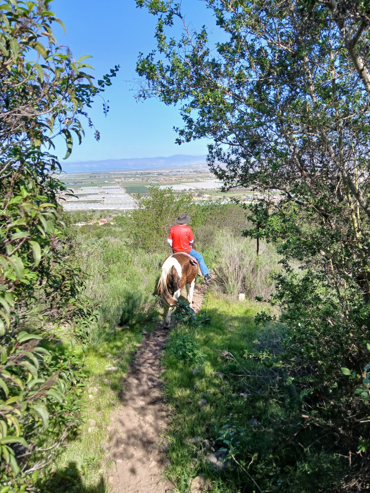 Desert Trails Ensenada