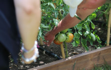 IAMME IA! - Gray Line Amalfi Coast6