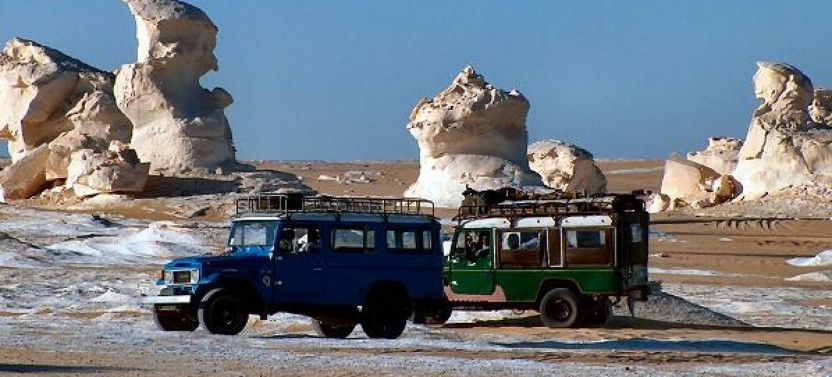 Overnight White and Black Desert Camping & Safari Tour From Cairo