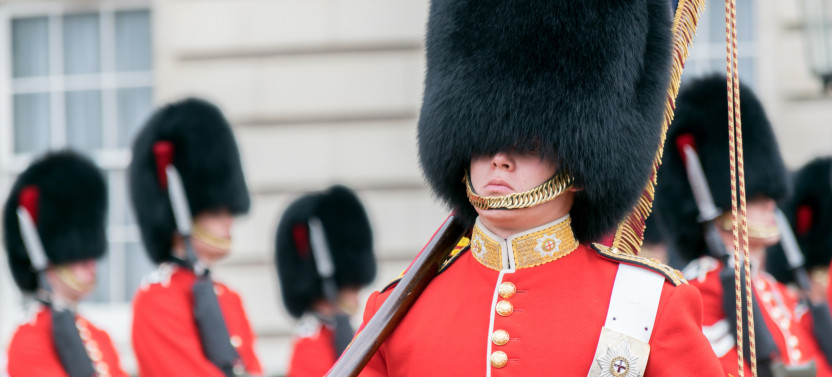 Changing of the Guard Guide Tour with King's Gallery & Option Royal Mews