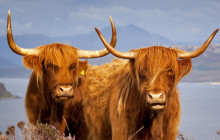 SPIRIT JOURNEYS LTD8