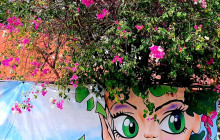 Best Buy Tours Cozumel5