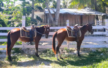 Best Buy Tours Cozumel8