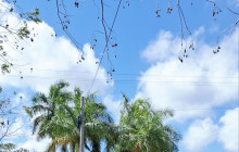 Best Buy Tours Cozumel10