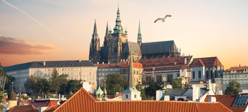 Private Tour: Discover the Royal Majesty of Prague Castle w/ Entry incl.