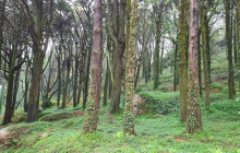 Extremo Ambiente3