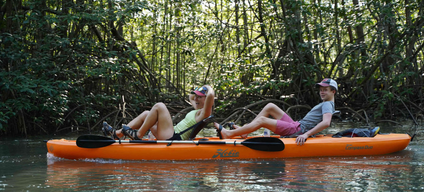 Mangrove Kayak Safari: Wildlife & Nature (Damas Island)