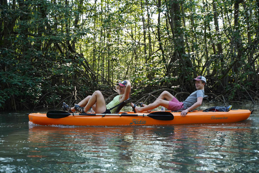 Mangrove Kayak Safari: Wildlife & Nature (Damas Island)