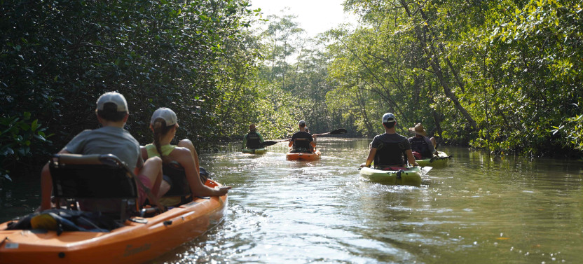 Mangrove Kayak Safari: Wildlife & Nature (Damas Island)