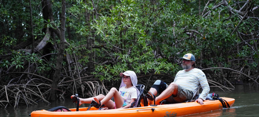 Mangrove Kayak Safari: Wildlife & Nature (Damas Island)