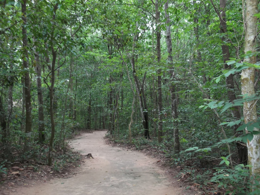 Private Full Day Ho Chi Minh City & Cuchi Tunnels Tour