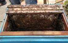 Saigon Private Tour Guide15