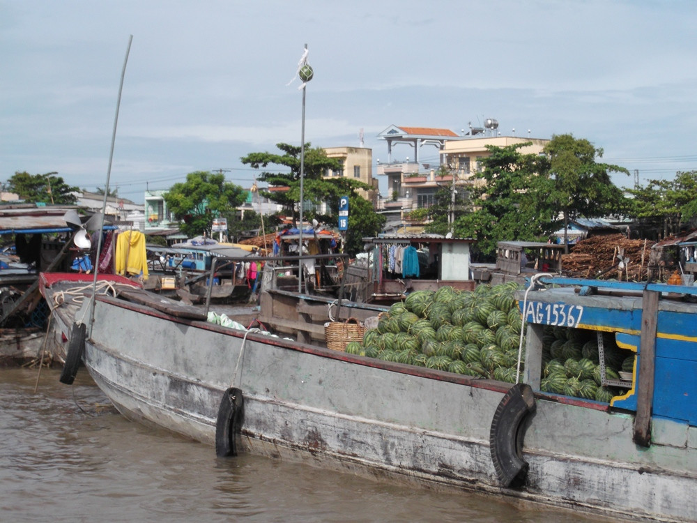 Saigon Private Tour Guide