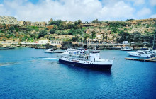 Hornblower Company Ltd1