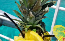 Hornblower Company Ltd7