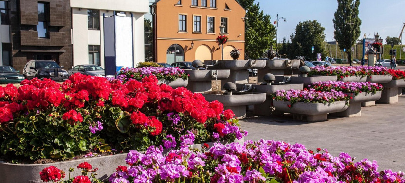 Cruise-Friendly Klaipėda & Curonian Spit Tour