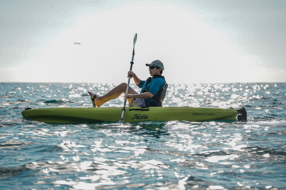 Ocean Kayak Adventure: Coastline & Secluded Beach