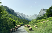 Montenegro tours - Mont Travelers18