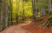 Local Experts Tours2