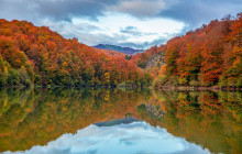 Local Experts Tours3