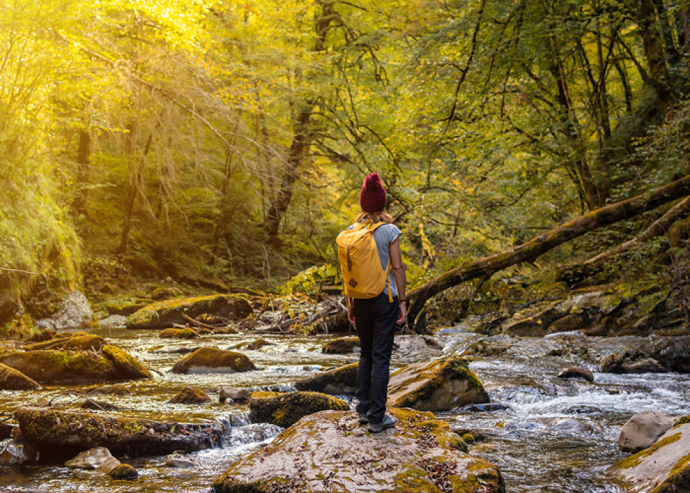 Day trip to Ochagavia and the Irati Forest from Pamplona