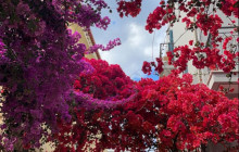 Greece Athens Taxi GAT11