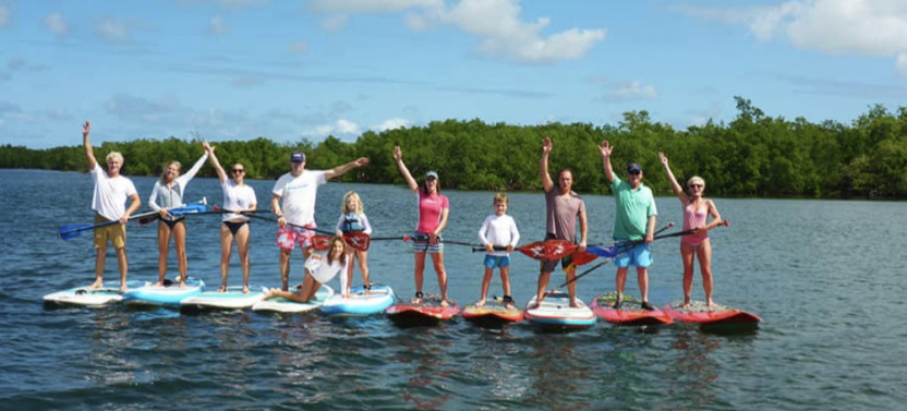 Stand -Up Paddleboard Mangrove Eco Tour in Guadeloupe
