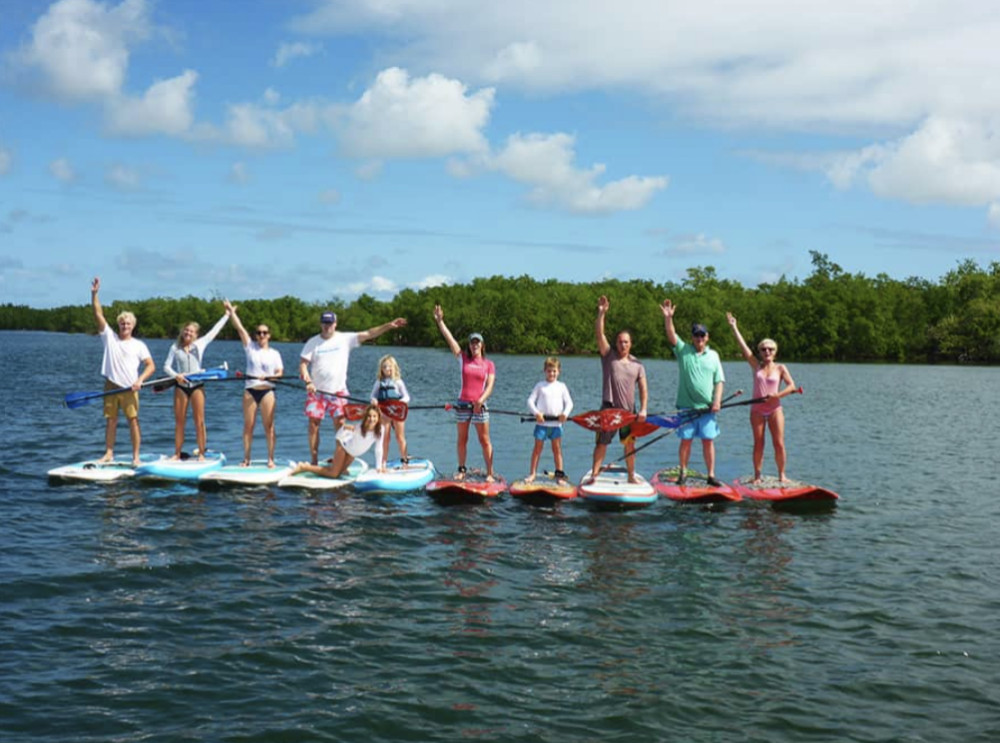 Stand -Up Paddleboard Mangrove Eco Tour in Guadeloupe