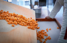 Eating Europe Food Tours - Amsterdam14