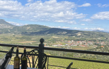 Athena Private Tours3