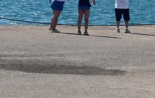 Athena Private Tours6