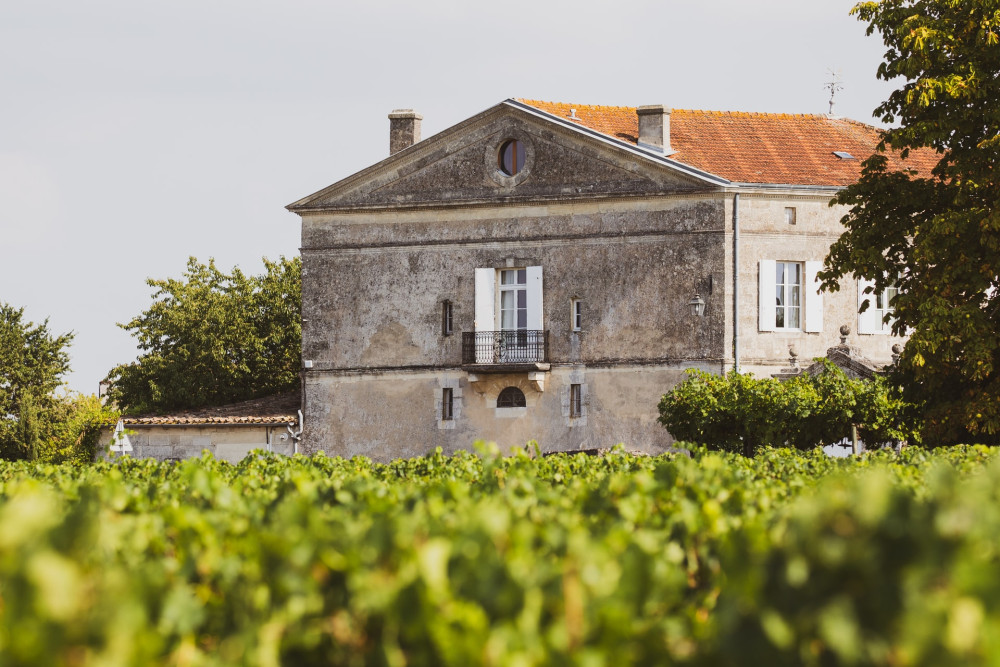 Bordeaux Region Uncorked