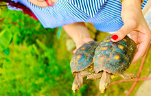 Edwin Transfers Tours19