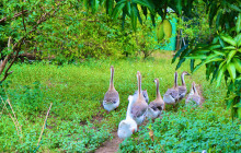 Edwin Transfers Tours20