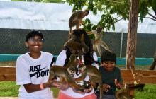 Edwin Transfers Tours25