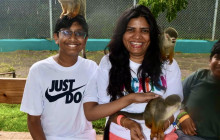 Edwin Transfers Tours26