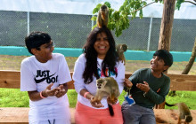 Edwin Transfers Tours27