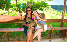 Edwin Transfers Tours33