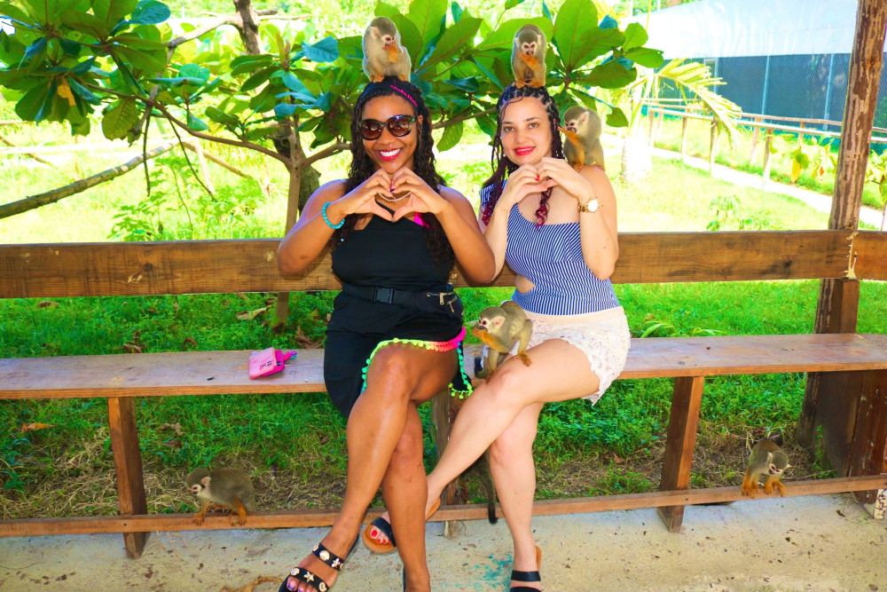 Edwin Transfers Tours