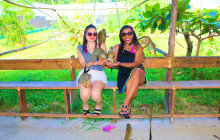 Edwin Transfers Tours1