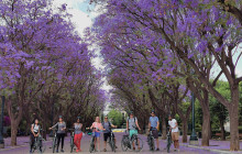 Athens By Bike4