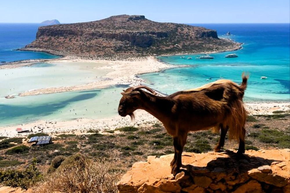 Balos Lagoon Viewpoint & Falasarna Beach Scenic Van Tour