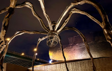 Descubre Tours10