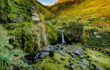 Pure Azores Unipessoal Lda1