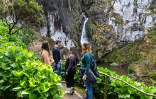 Pure Azores Unipessoal Lda14