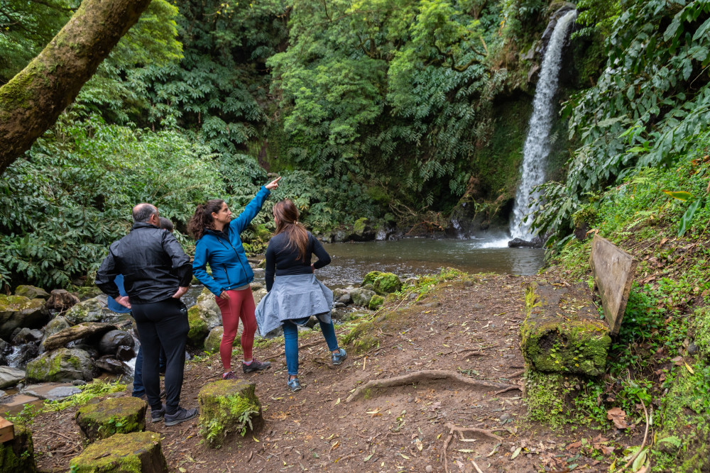 Pure Azores Unipessoal Lda