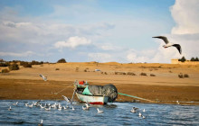 Egypt Gift Tours7